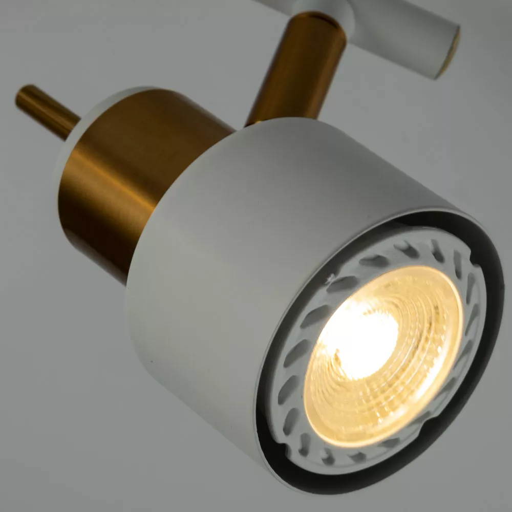 Спот потолочный Arte Lamp ALMACH A1906PL-2WH