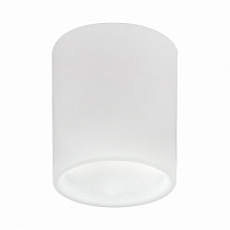 Точечный накладной светильник Lightstar Solido E27 216626