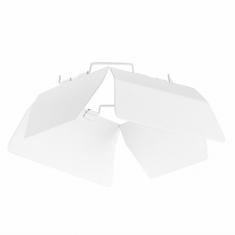 Насадка торцевая Lightstar Canno 202996