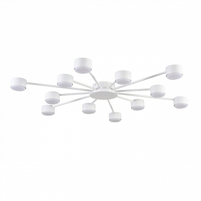 Накладная люстра LUMION TORINA 8343/12C