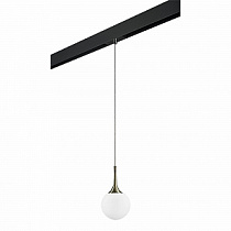 Трековый светильник Lightstar Globo PRO813011